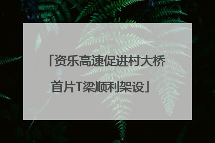 资乐高速促进村大桥首片T梁顺利架设