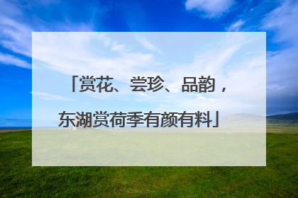 赏花、尝珍、品韵，东湖赏荷季有颜有料