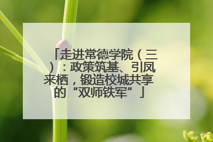 走进常德学院（三）：政策筑基、引凤来栖，锻造校城共享的“双师铁军”