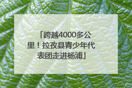 跨越4000多公里！拉孜县青少年代表团走进杨浦