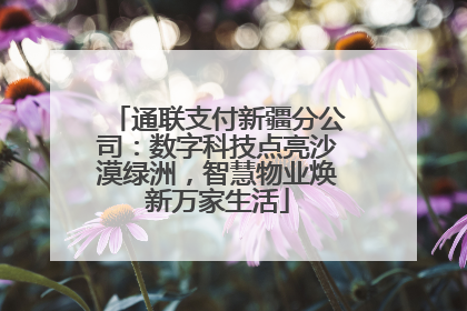 通联支付新疆分公司：数字科技点亮沙漠绿洲，智慧物业焕新万家生活