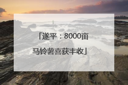 遂平：8000亩马铃薯喜获丰收