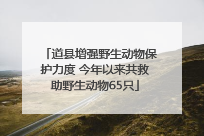 道县增强野生动物保护力度 今年以来共救助野生动物65只