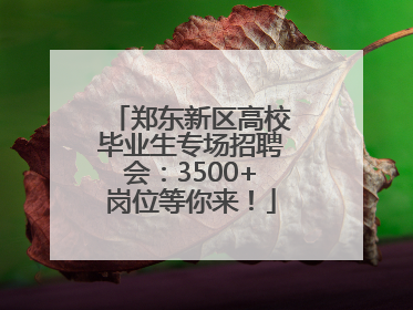 郑东新区高校毕业生专场招聘会：3500+岗位等你来！