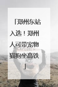郑州东站入选！郑州人可带宠物猫狗坐高铁