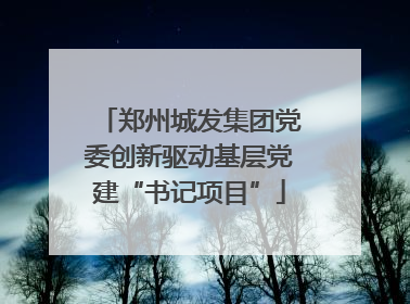 郑州城发集团党委创新驱动基层党建“书记项目”