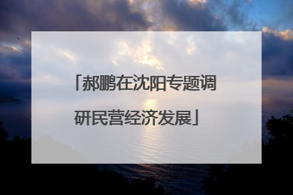 郝鹏在沈阳专题调研民营经济发展