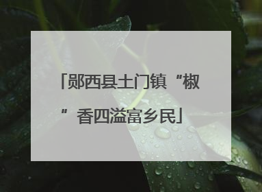 郧西县土门镇“椒”香四溢富乡民