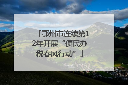 鄂州市连续第12年开展“便民办税春风行动”