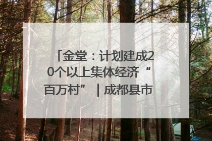 金堂：计划建成20个以上集体经济“百万村”｜成都县市新城高质量发展