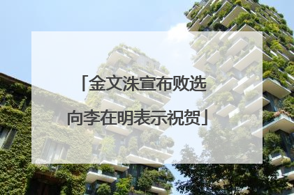 金文洙宣布败选 向李在明表示祝贺