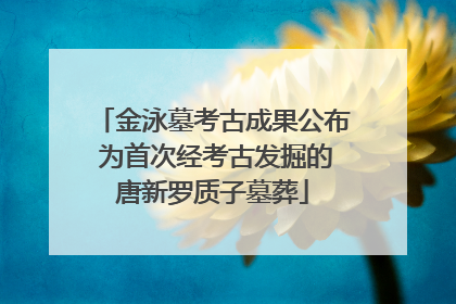 金泳墓考古成果公布 为首次经考古发掘的唐新罗质子墓葬