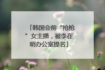 韩国会前“抢枪”女主播，被李在明办公室提名