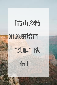 青山乡精准施策培育“头雁”队伍