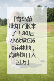 青岛第一批知了猴来了！80后小伙承包60亩林地，高峰期日入过万
