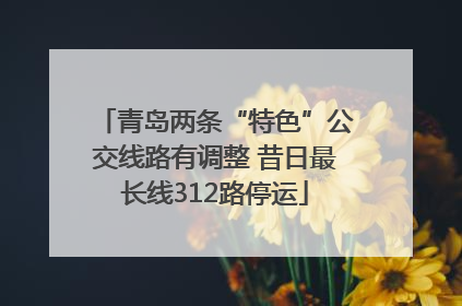 青岛两条“特色”公交线路有调整 昔日最长线312路停运