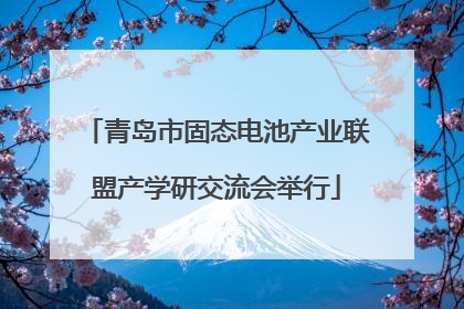 青岛市固态电池产业联盟产学研交流会举行
