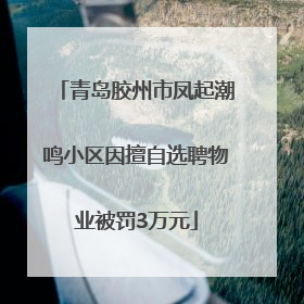 青岛胶州市凤起潮鸣小区因擅自选聘物业被罚3万元