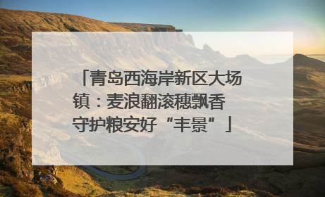 青岛西海岸新区大场镇：麦浪翻滚穗飘香 守护粮安好“丰景”