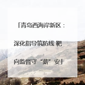 青岛西海岸新区：深化指导筑防线 靶向监督守“薪”安