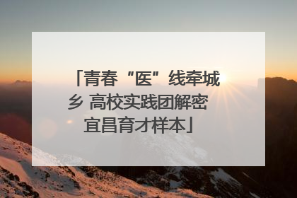 青春“医”线牵城乡 高校实践团解密宜昌育才样本