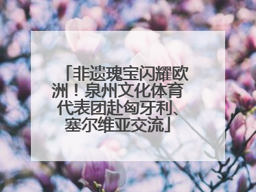 非遗瑰宝闪耀欧洲！泉州文化体育代表团赴匈牙利、塞尔维亚交流