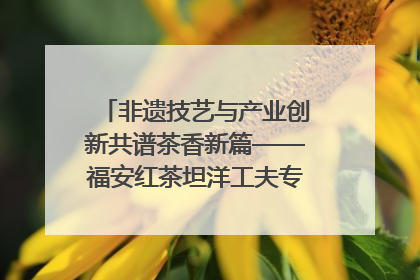非遗技艺与产业创新共谱茶香新篇——福安红茶坦洋工夫专场推介会在京举办
