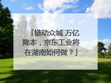 链动众城 万亿降本，京东工业将在湖南如何做？