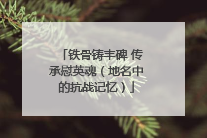 铁骨铸丰碑 传承慰英魂（地名中的抗战记忆）