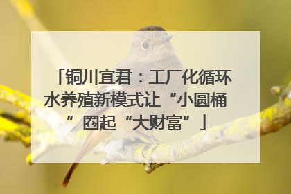 铜川宜君：工厂化循环水养殖新模式让“小圆桶”圈起“大财富”