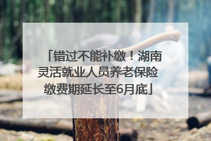 错过不能补缴！湖南灵活就业人员养老保险缴费期延长至6月底