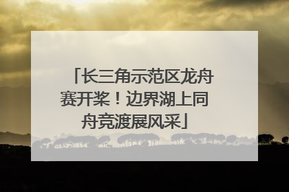 长三角示范区龙舟赛开桨！边界湖上同舟竞渡展风采