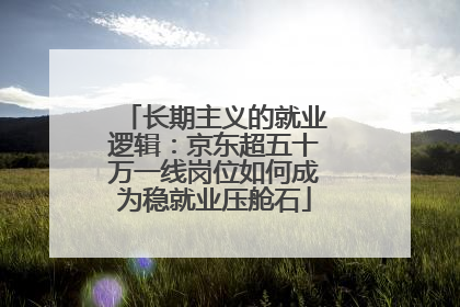 长期主义的就业逻辑：京东超五十万一线岗位如何成为稳就业压舱石