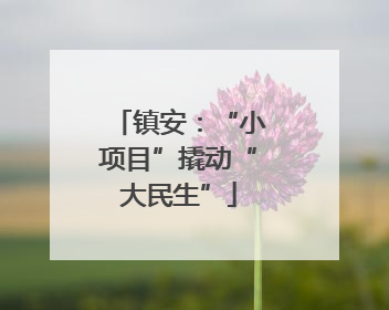 镇安：“小项目”撬动“大民生”