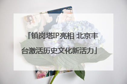 镇岗塔IP亮相 北京丰台激活历史文化新活力