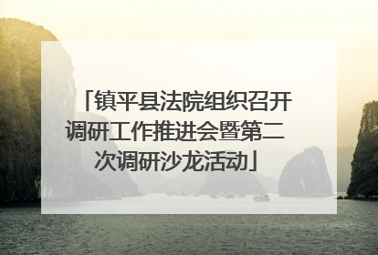 镇平县法院组织召开调研工作推进会暨第二次调研沙龙活动