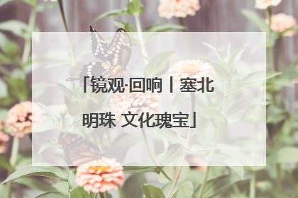 镜观·回响丨塞北明珠 文化瑰宝