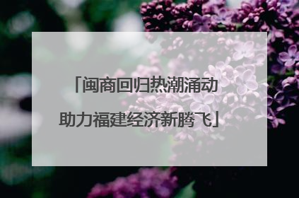 闽商回归热潮涌动 助力福建经济新腾飞