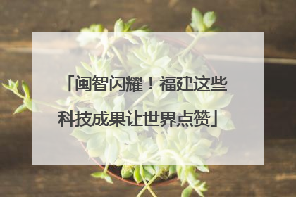 闽智闪耀！福建这些科技成果让世界点赞