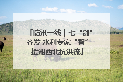 防汛一线｜七“剑”齐发 水利专家“智”援湘西北抗洪流