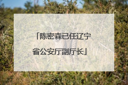 陈密森已任辽宁省公安厅副厅长