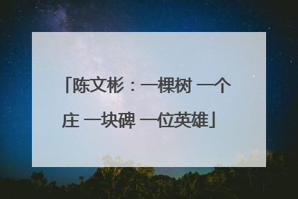 陈文彬：一棵树 一个庄 一块碑 一位英雄