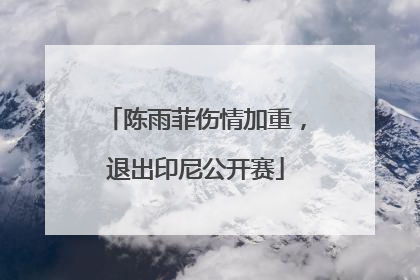 陈雨菲伤情加重，退出印尼公开赛