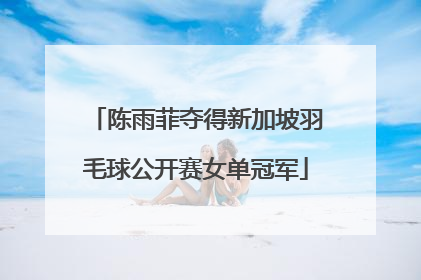 陈雨菲夺得新加坡羽毛球公开赛女单冠军