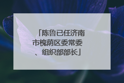 陈鲁已任济南市槐荫区委常委、组织部部长