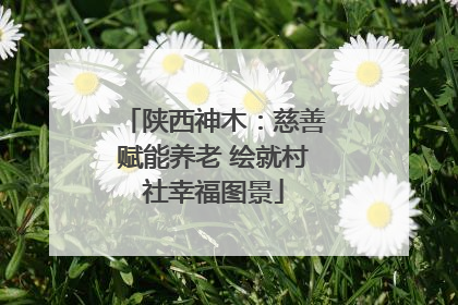 陕西神木：慈善赋能养老 绘就村社幸福图景