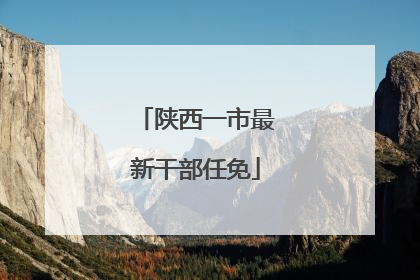 陕西一市最新干部任免