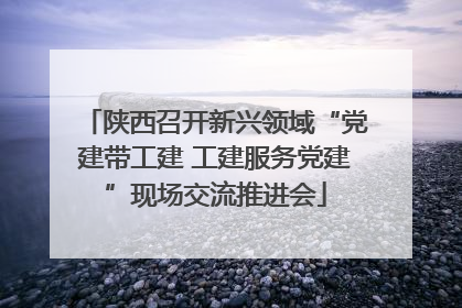 陕西召开新兴领域“党建带工建 工建服务党建”现场交流推进会