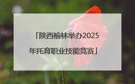 陕西榆林举办2025年托育职业技能竞赛