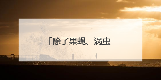 除了果蝇、涡虫 中国空间站还有哪些“动物航天员”
